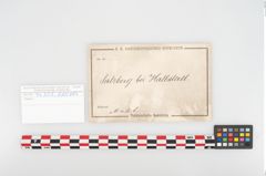 Etikett zu Eisenkonvolut (NHMW-PRAE-094301)